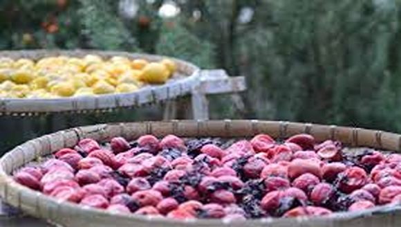 تصویر 1 از خرید آلو خشک آفتابی + قیمت فروش استثنایی